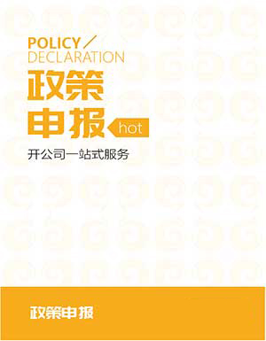 政策申报
